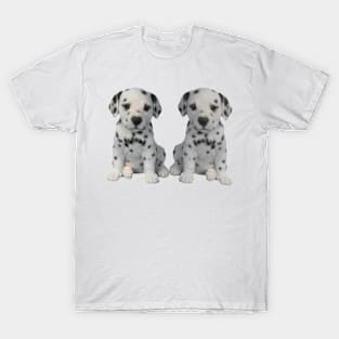 Dalmatian Puppies T-Shirt